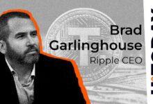 El CEO de Ripple advierte sobre un “evento cisne negro” de Tether en 2024: ¿Ocurrirá? Descúbrelo ahora - Cripto Boom