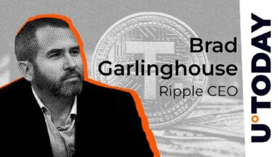 El CEO de Ripple advierte sobre un “evento cisne negro” de Tether en 2024: ¿Ocurrirá? Descúbrelo ahora - Cripto Boom