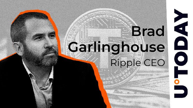 El CEO de Ripple advierte sobre un “evento cisne negro” de Tether en 2024: ¿Ocurrirá? Descúbrelo ahora - Cripto Boom