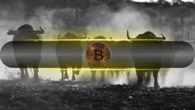 El Precio de Bitcoin Se Dispara $2.5K en Minutos: ¿Estamos en el Máximo de Uptober? Descúbrelo Ahora - Cripto Boom