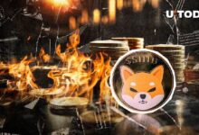 ¡Eliminación de SHIB Aumenta un 108% con el Precio al Borde del Despegue! Descubre el Detalle Crucial - Cripto Boom