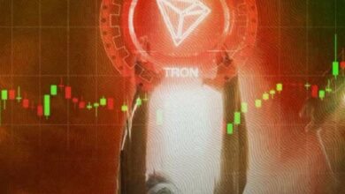 El Volumen de Grandes Transacciones de TRON Alcanza Máximos de 2 Meses: ¿Está TRX en Auge? ¡Descúbrelo Ahora! - Cripto Boom