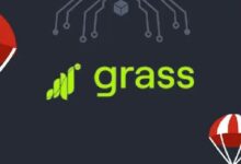 Lanzamiento del Airdrop GRASS One el 28 de octubre de 2024: ¡No te lo pierdas! - Cripto Boom