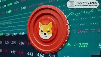 d23b569b47fa344c8ec9 Descubre por qué el precio de Shiba Inu podría desafiar el sentimiento del mercado