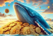 d2f29238b82c7b936341 ¡Colosal Ballena de Bitcoin “Manos de Diamante” Pierde la Paciencia y Vende Después de 5 Años! ¡Descubre Su Asombrosa Ganancia!