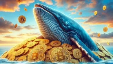 ¡Colosal Ballena de Bitcoin “Manos de Diamante” Pierde la Paciencia y Vende Después de 5 Años! ¡Descubre Su Asombrosa Ganancia! - Cripto Boom