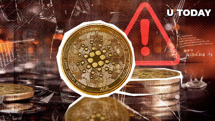 d3e88e8419443074db85 Comunidad Cardano Lanza Alerta Urgente de Estafa, ¡Descubre lo Sucedido!