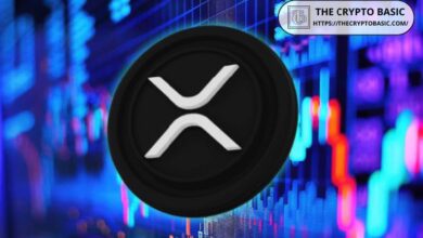 Descubre Cuándo XRP Podría Alcanzar $100, $500 y $1000: ¡No Te Lo Pierdas! - Cripto Boom