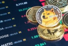 d6492255a4c6597b31fc Precio de Dogecoin (DOGE) aumenta: ¡Descubre el auge de las monedas meme!