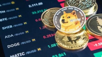 d6492255a4c6597b31fc Precio de Dogecoin (DOGE) aumenta: ¡Descubre el auge de las monedas meme!