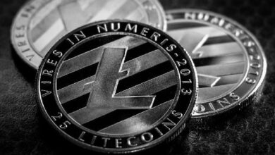 d65fff8163b823142023 Litecoin Celebra 13 Años con 77 Millones de Transacciones en 2024: Descubre los Logros Aquí