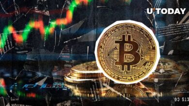 Bitcoin (BTC) a Punto de Alcanzar $300,000 – Descubre el Motivo Clave según un Analista Top - Cripto Boom