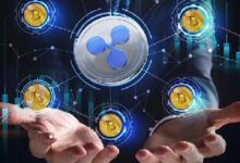 d6ccbd4a9e4afebb77f5 Custodia Ripple: Soluciones para el Crecimiento de los Intercambios Cripto