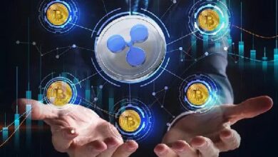 Custodia Ripple: Soluciones para el Crecimiento de los Intercambios Cripto - Cripto Boom