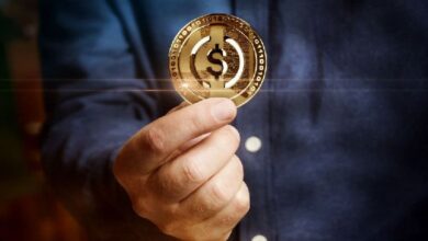 2 Stablecoins Alternativos para 2025: Descubre Opciones ante el Aumento de Tarifas de Canje de USDC - Cripto Boom