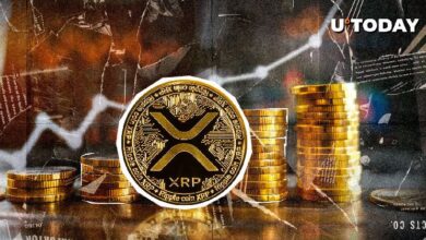 ¡El precio de XRP se dispara un 125,127% en 24 horas debido a una inusual liquidación! - Cripto Boom