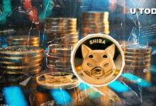 Shiba Inu (SHIB) Lanza Pregunta a Binance: ¡Descúbrela Ahora! - Cripto Boom