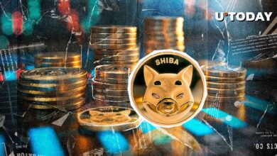 Shiba Inu (SHIB) Lanza Pregunta a Binance: ¡Descúbrela Ahora! - Cripto Boom