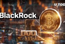 de22299831312a8191a2 $760 Millones en 3 Días: ¡Descubre el Nuevo Hito del ETF de Bitcoin de BlackRock!