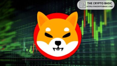 Analista Detecta Patrón Alcista de Cabeza y Hombros en Shiba Inu: ¡Descubre 3 Objetivos de Subida! - Cripto Boom