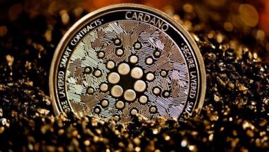 Pronóstico de Precio de Cardano: Métricas en Cadena y Análisis Técnico Indican Tendencia Bajista - Descubre Más Ahora - Cripto Boom