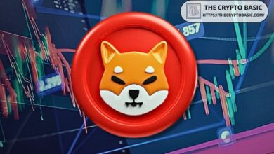 Shiba Inu: Experto Afirma que SHIBArmy Aspira a Superar Su Máximo Histórico. ¡Descubre Más! - Cripto Boom