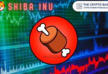 Shiba Inu Revela la Única Pregunta que Preocupa al SHIBArmy: Descúbrela Ahora - Cripto Boom