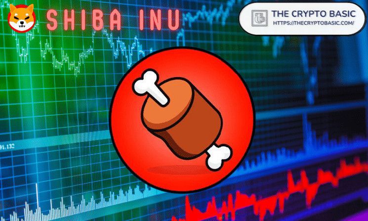 Shiba Inu Revela la Única Pregunta que Preocupa al SHIBArmy: Descúbrela Ahora - Cripto Boom