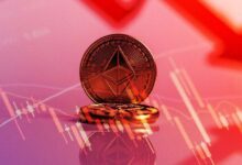 ¡Descubre qué altcoin superará a Ethereum en usuarios en solo dos meses! - Cripto Boom