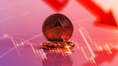 ¡Descubre qué altcoin superará a Ethereum en usuarios en solo dos meses! - Cripto Boom