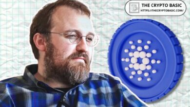 e322f3f90543e8962510 Hoskinson Revela por Qué Este Capitalista de Riesgo Ignora a Cardano en el Último Informe Cripto: Descubre Más