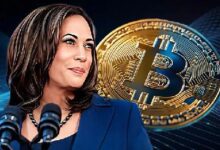 Ex Ejecutivo de Facebook Resalta el Cambio de Postura Cripto de Harris: Descubre la Historia Completa - Cripto Boom