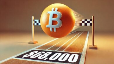 Bitcoin se Acerca a su Pico de Precio: ¡Resistencia de $69K a la Vista! - Cripto Boom