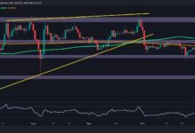 Análisis del Precio de Ripple: ¿Hasta Dónde Puede Caer XRP si Pierde el Soporte de $0.5? ¡Descúbrelo! - Cripto Boom