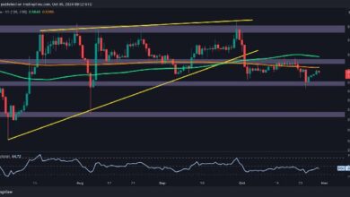 Análisis del Precio de Ripple: ¿Hasta Dónde Puede Caer XRP si Pierde el Soporte de $0.5? ¡Descúbrelo! - Cripto Boom