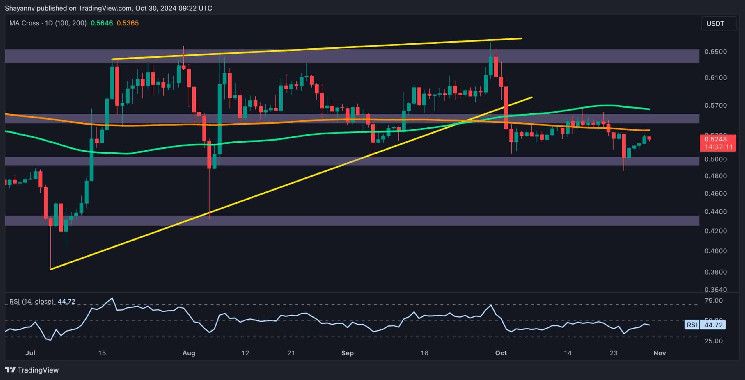 Análisis del Precio de Ripple: ¿Hasta Dónde Puede Caer XRP si Pierde el Soporte de $0.5? ¡Descúbrelo! - Cripto Boom