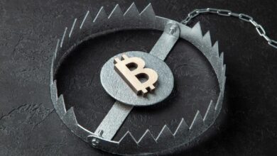 Experto advierte que Bitcoin está en una 'trampa alcista': descubre el próximo mínimo del precio de BTC - Cripto Boom