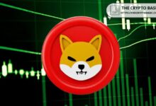 Analista Revela Predicción Final de Shiba Inu para 2024: ¡Descubre por qué el Despegue de SHIB es Inminente! - Cripto Boom