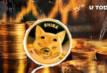 e71fbae0fedcd98f1f84 Shiba Inu (SHIB) se Dispara un 517% en Actividad de Ballenas: ¡Descubre los Detalles de la Nueva Alianza!