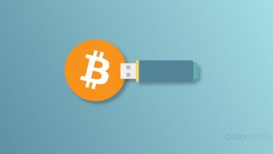 e875dc998a79f8a11fca Los 4 Mejores Mineros USB de Bitcoin en 2024: ¡Descubre Tu Opción Ideal!