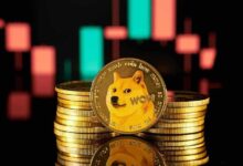 Descubre por qué Dogecoin (DOGE) está en auge ahora mismo - Cripto Boom