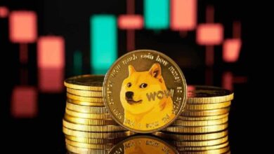 Descubre por qué Dogecoin (DOGE) está en auge ahora mismo - Cripto Boom