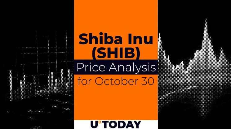 Predicción del Precio de SHIB para el 30 de Octubre: ¡Descubre el Futuro del Mercado! - Cripto Boom