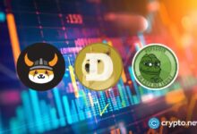 Las monedas meme revolucionan las inversiones en criptomonedas: ¡Descubre cómo la Generación Z busca nuevos caminos financieros! - Cripto Boom