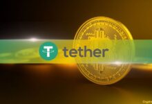 El CEO de Tether Detalla las Reservas que Respaldan la Stablecoin USDT: Descubra Más - Cripto Boom