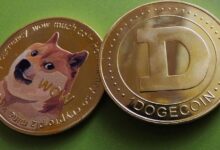 ¿Precio de Dogecoin a $24? ¡Descubre por qué el analista dice que nadie lo creerá hasta que ocurra! - Cripto Boom