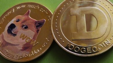 ¿Precio de Dogecoin a $24? ¡Descubre por qué el analista dice que nadie lo creerá hasta que ocurra! - Cripto Boom