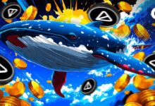 f0704690eb2cba33f0b7 Ballenas de Notcoin (NOT) Acumulan mientras el Precio Aumenta un 11% - Descubre los Detalles