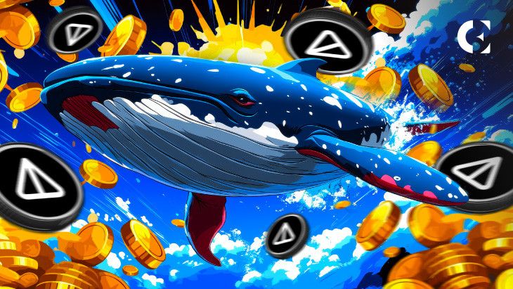 f0704690eb2cba33f0b7 Ballenas de Notcoin (NOT) Acumulan mientras el Precio Aumenta un 11% - Descubre los Detalles