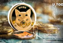 ¡Shiba Inu (SHIB) Regresa con Cuatro Billones en 24 Horas! Descubre Qué Sucede - Cripto Boom